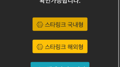 스타링크 700만원 먹튀 **절대이용금지**